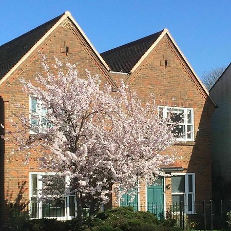 3 Summertown Court 牛津 外观 照片