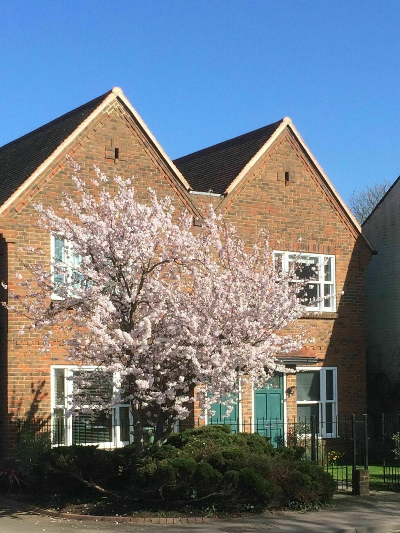 3 Summertown Court 牛津 外观 照片